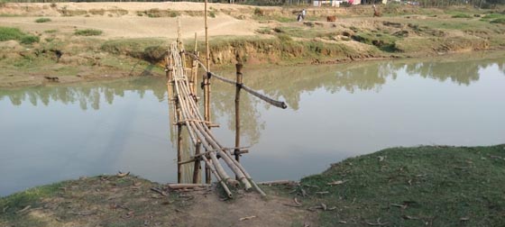image-here